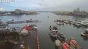 ./images/victoria/wharf/20191212/wharf20191212_091021.jpg