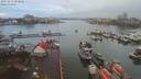 ./images/victoria/wharf/20191212/wharf20191212_092810.jpg