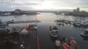 ./images/victoria/wharf/20191212/wharf20191212_151751.jpg