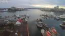 ./images/victoria/wharf/20191213/wharf20191213_130952.jpg