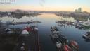 ./images/victoria/wharf/20191215/wharf20191215_082458.jpg