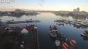 ./images/victoria/wharf/20191215/wharf20191215_084952.jpg