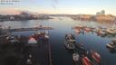 ./images/victoria/wharf/20191215/wharf20191215_090954.jpg