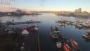 ./images/victoria/wharf/20191215/wharf20191215_091949.jpg