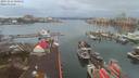 ./images/victoria/wharf/20191216/wharf20191216_080953.jpg
