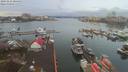 ./images/victoria/wharf/20191216/wharf20191216_084453.jpg