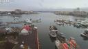 ./images/victoria/wharf/20191216/wharf20191216_085951.jpg