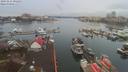 ./images/victoria/wharf/20191216/wharf20191216_092455.jpg
