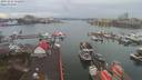 ./images/victoria/wharf/20191216/wharf20191216_111453.jpg