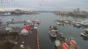 ./images/victoria/wharf/20191216/wharf20191216_111956.jpg