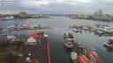 ./images/victoria/wharf/20191216/wharf20191216_115455.jpg