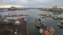./images/victoria/wharf/20191216/wharf20191216_121456.jpg