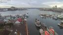 ./images/victoria/wharf/20191217/wharf20191217_140451.jpg