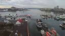 ./images/victoria/wharf/20191218/wharf20191218_140956.jpg