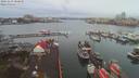 ./images/victoria/wharf/20191219/wharf20191219_080951.jpg