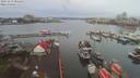 ./images/victoria/wharf/20191219/wharf20191219_081453.jpg