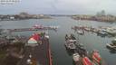 ./images/victoria/wharf/20191219/wharf20191219_081956.jpg
