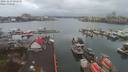 ./images/victoria/wharf/20191219/wharf20191219_092955.jpg