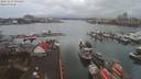 ./images/victoria/wharf/20191219/wharf20191219_094453.jpg