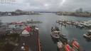 ./images/victoria/wharf/20191219/wharf20191219_094956.jpg