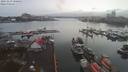 ./images/victoria/wharf/20191219/wharf20191219_100454.jpg