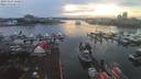 ./images/victoria/wharf/20191221/wharf20191221_160952.jpg