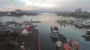 ./images/victoria/wharf/20191223/wharf20191223_082952.jpg