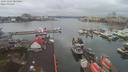 ./images/victoria/wharf/20191224/wharf20191224_084456.jpg