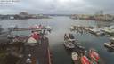 ./images/victoria/wharf/20191224/wharf20191224_085453.jpg