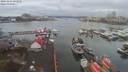 ./images/victoria/wharf/20191224/wharf20191224_093957.jpg