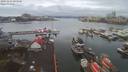 ./images/victoria/wharf/20191224/wharf20191224_094449.jpg