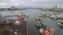 ./images/victoria/wharf/20191224/wharf20191224_094952.jpg