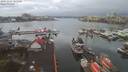 ./images/victoria/wharf/20191224/wharf20191224_101958.jpg