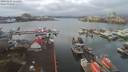./images/victoria/wharf/20191224/wharf20191224_112455.jpg