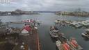 ./images/victoria/wharf/20191224/wharf20191224_121452.jpg