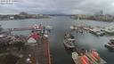 ./images/victoria/wharf/20191224/wharf20191224_130953.jpg