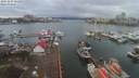 ./images/victoria/wharf/20191224/wharf20191224_131455.jpg