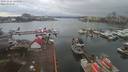 ./images/victoria/wharf/20191224/wharf20191224_134956.jpg