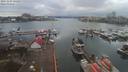 ./images/victoria/wharf/20191224/wharf20191224_142456.jpg