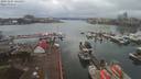 ./images/victoria/wharf/20191224/wharf20191224_145454.jpg