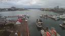 ./images/victoria/wharf/20191224/wharf20191224_145956.jpg