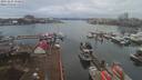 ./images/victoria/wharf/20191224/wharf20191224_150952.jpg