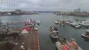 ./images/victoria/wharf/20191224/wharf20191224_151958.jpg