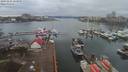 ./images/victoria/wharf/20191224/wharf20191224_153959.jpg
