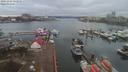 ./images/victoria/wharf/20191224/wharf20191224_154955.jpg