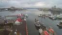 ./images/victoria/wharf/20191226/wharf20191226_083956.jpg