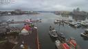 ./images/victoria/wharf/20191226/wharf20191226_085456.jpg