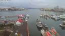 ./images/victoria/wharf/20191226/wharf20191226_094958.jpg
