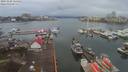 ./images/victoria/wharf/20191226/wharf20191226_114452.jpg