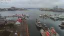 ./images/victoria/wharf/20191226/wharf20191226_131452.jpg